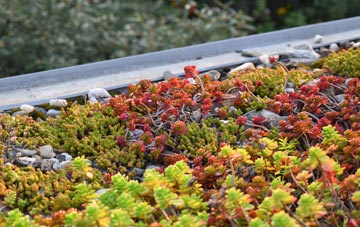 the cost of Veensgarth green roof installation