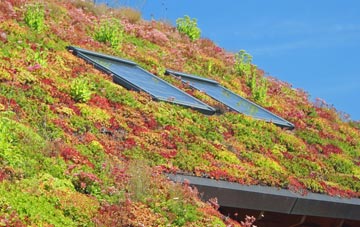 Veensgarth living roof systems