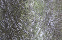 Veensgarth fibreglass roof work